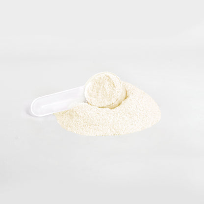 Lemonade Hydration Electrolyte Powder